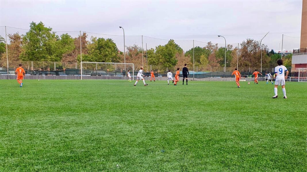 CF Torre Levante - CF Cracks Preferente Alevín