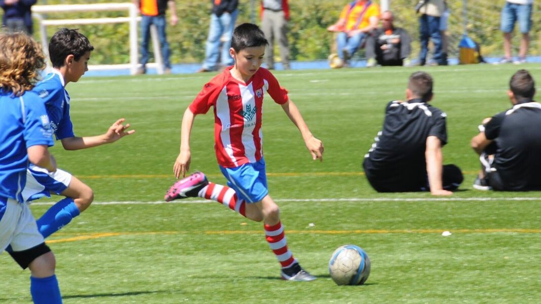 cropped-arilla8.jpg