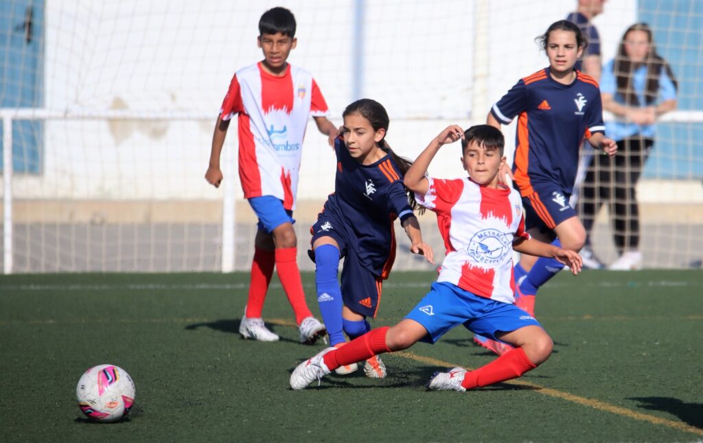 A continuación os mostramos qué jugadoras pueden inscribirse en cada plantilla, además de qué y cuántas jugadoras pueden jugar en los partidos de cada categoría.