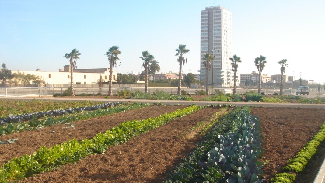 0225 Sociòpolis (2)