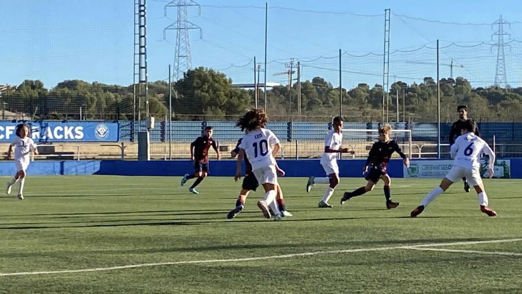 Grupos Primera Alevín Temporada 2025/26