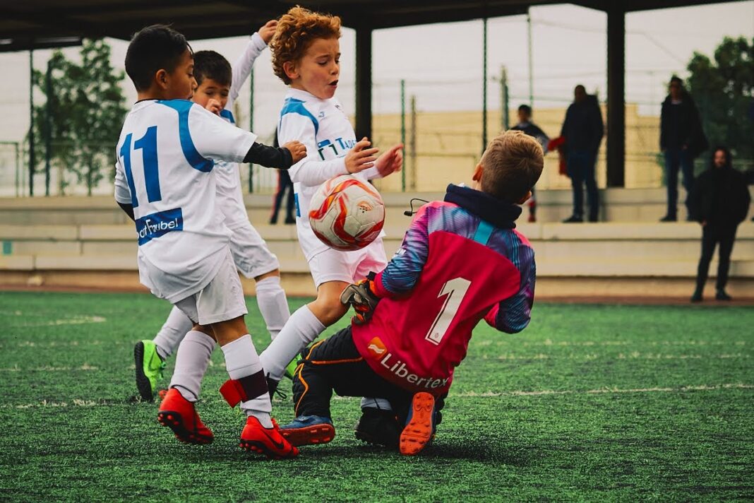 Grupos prebenjamín Primera Temporada 2024/25