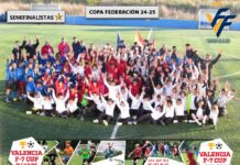 Grupos Semifinales XIV Copa Federacion Benjamín