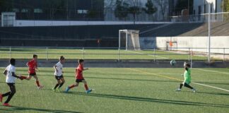 Nostra Copa Alevín