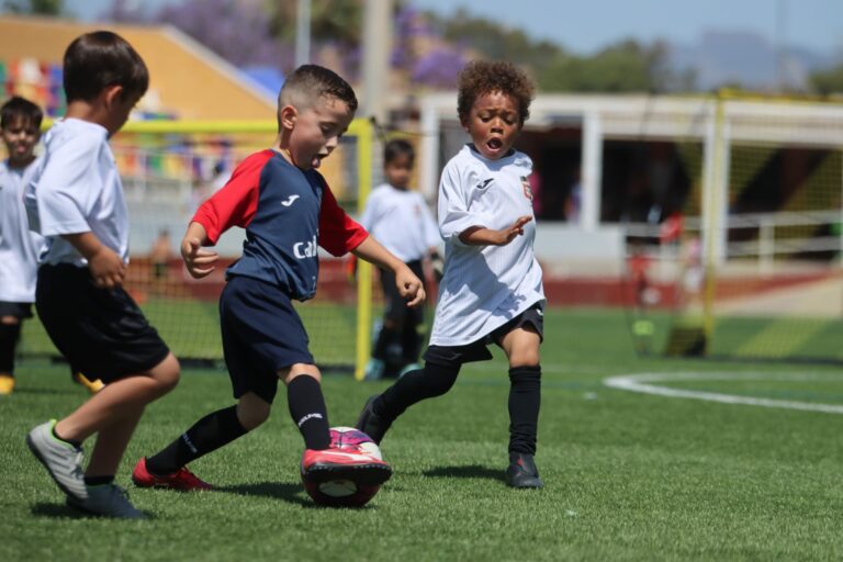 III Copa Gegants que se realizará en Altea y El Planter