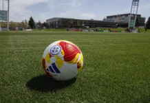 Balones Adidas