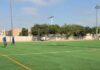 Campo alfafar