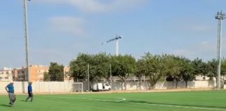 Campo alfafar