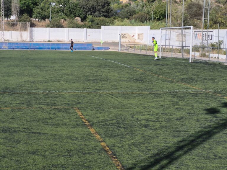 Camps de futbol de La Moleta