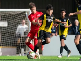 Estos son los equipos clasificados para la Lliga Autonòmica Aleví