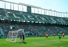 Buena iniciativa del Elche CF con los ‘Coles Franjiverdes’